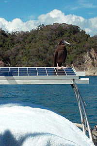 Costa Rica Sailing Charters